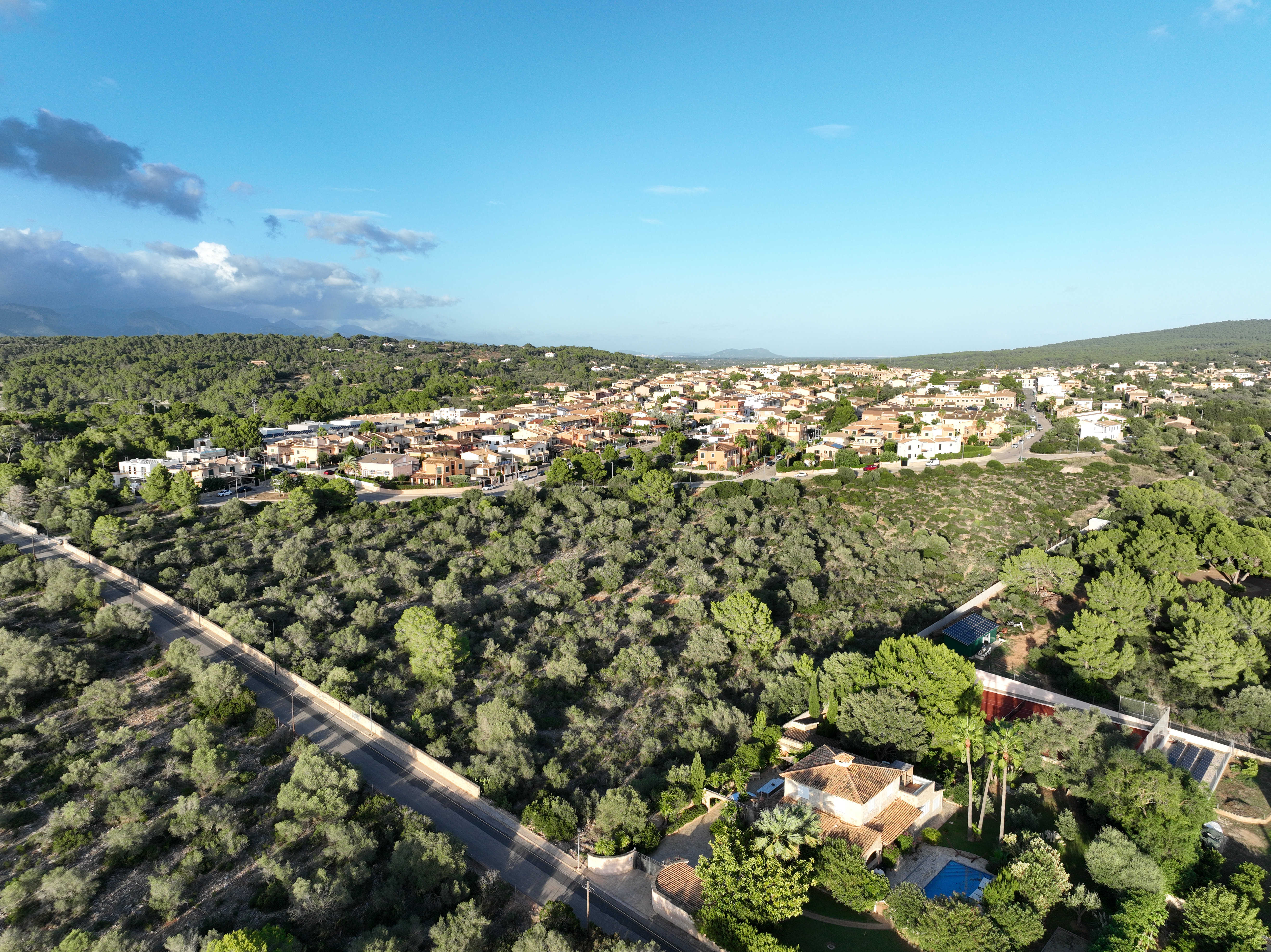 2.4.9 Drone Day View S_N